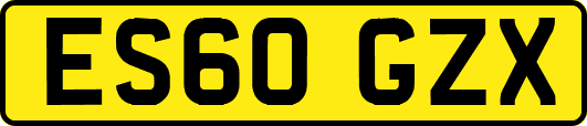 ES60GZX