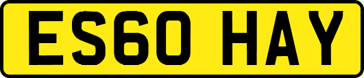 ES60HAY