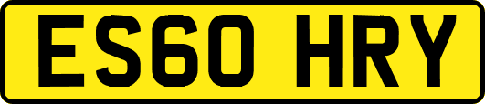 ES60HRY