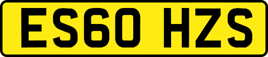 ES60HZS