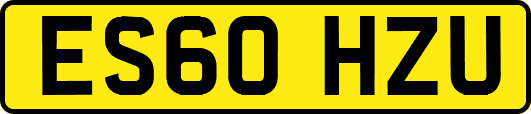 ES60HZU