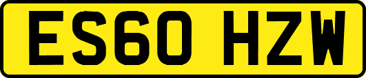 ES60HZW