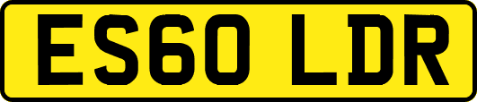 ES60LDR