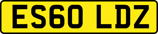 ES60LDZ