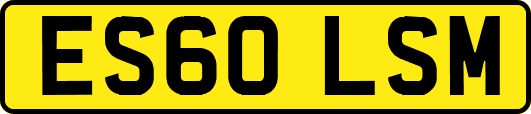 ES60LSM