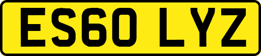 ES60LYZ