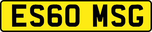 ES60MSG