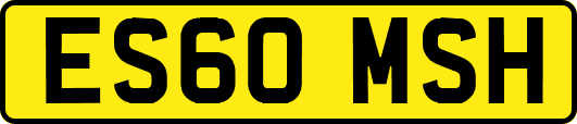 ES60MSH