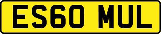 ES60MUL