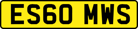 ES60MWS