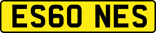ES60NES