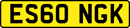 ES60NGK