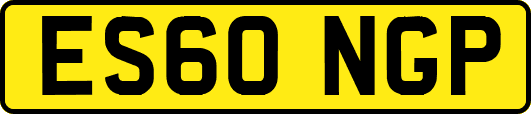 ES60NGP