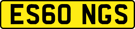 ES60NGS