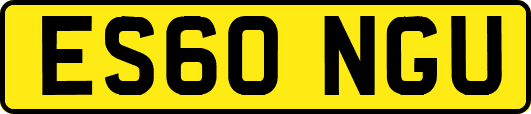 ES60NGU