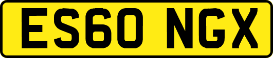 ES60NGX