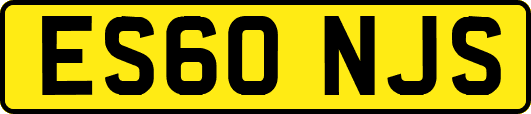 ES60NJS