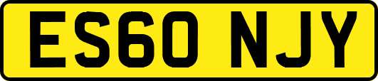 ES60NJY
