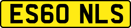 ES60NLS
