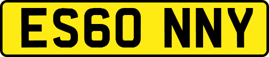 ES60NNY