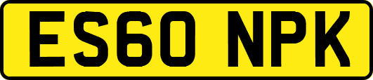 ES60NPK