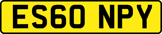 ES60NPY