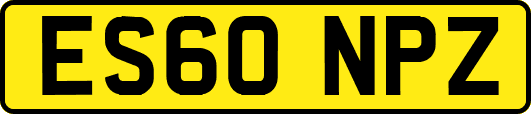 ES60NPZ