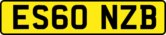 ES60NZB