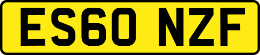 ES60NZF