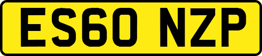 ES60NZP