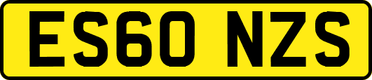 ES60NZS