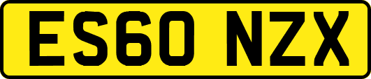 ES60NZX