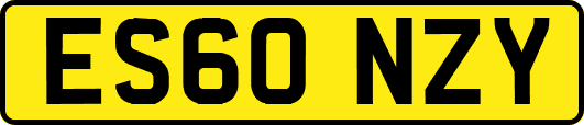 ES60NZY