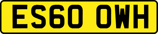 ES60OWH