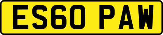 ES60PAW