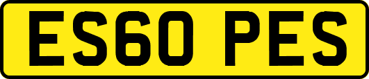 ES60PES