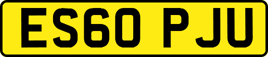 ES60PJU