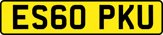 ES60PKU