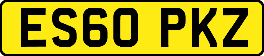 ES60PKZ