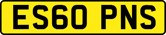 ES60PNS