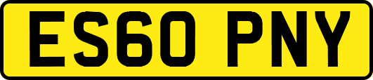 ES60PNY