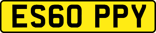 ES60PPY