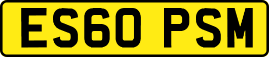 ES60PSM