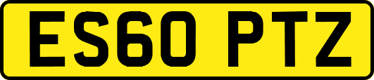 ES60PTZ