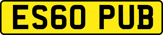 ES60PUB