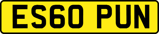 ES60PUN