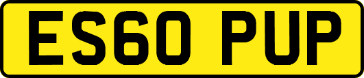 ES60PUP