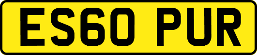 ES60PUR