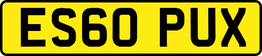 ES60PUX