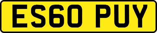 ES60PUY